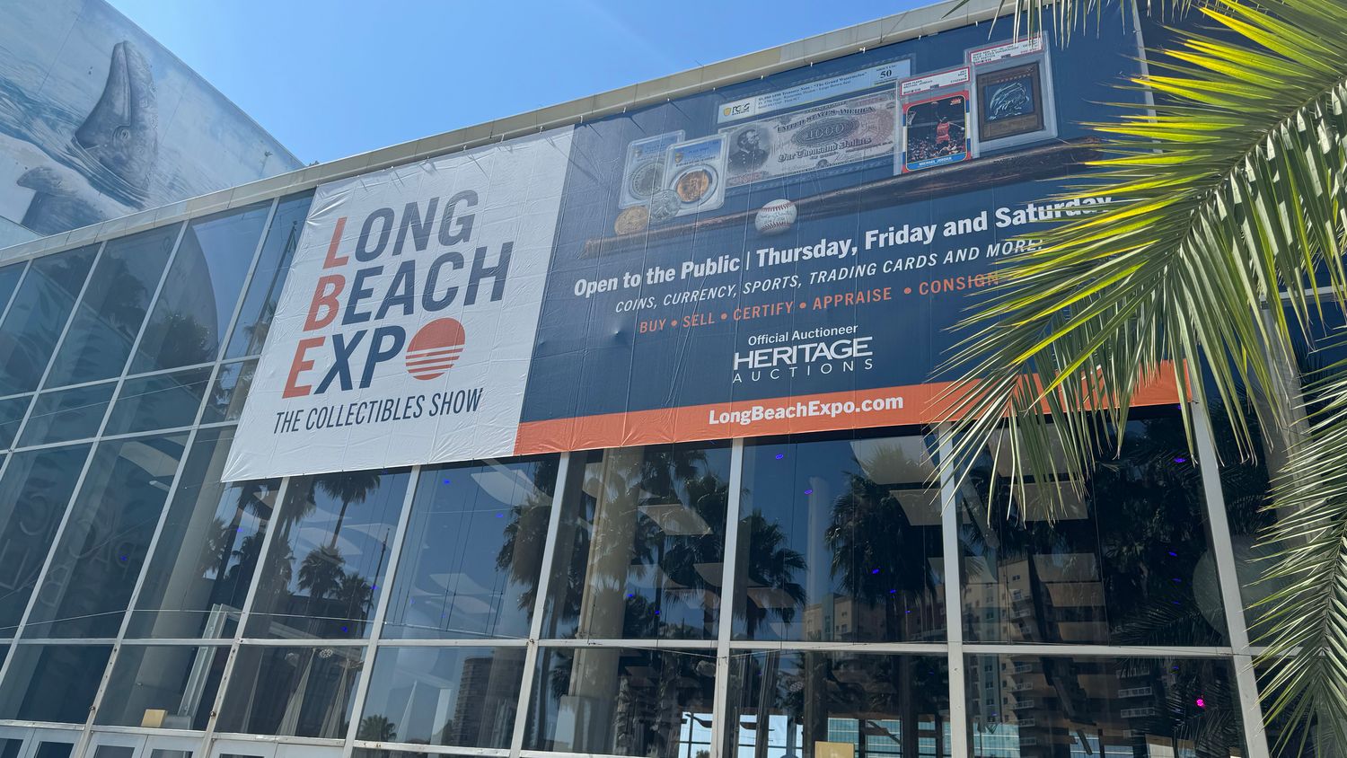 Show Report: Long Beach Expo, September 2024