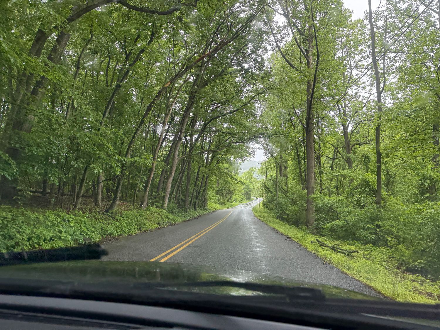 Rainy drive from Owen's