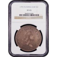1795 Flowing Hair Dollar ($1) 2 Leaves Obverse Slab Image