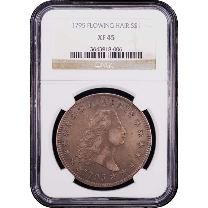 1795 Flowing Hair Dollar ($1) 2 Leaves Obverse Slab Image