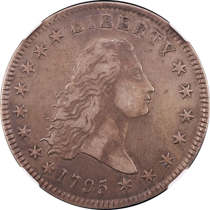 1795 Flowing Hair Dollar ($1) 2 Leaves Obverse Image