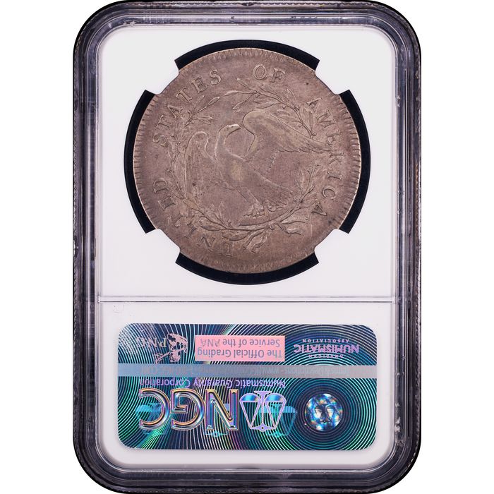 1795 Flowing Hair Dollar ($1) 2 Leaves Reverse Slab Image