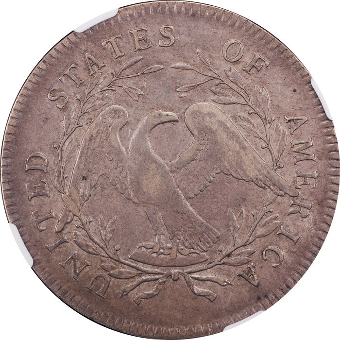 1795 Flowing Hair Dollar ($1) 2 Leaves Reverse Image