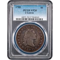 1795 Flowing Hair Dollar ($1) 2 Leaves Obverse Slab Image