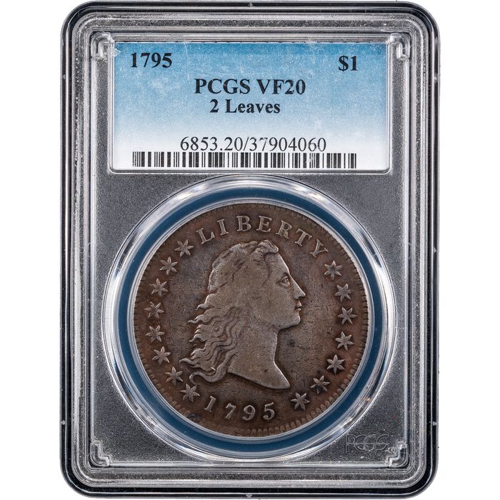 1795 Flowing Hair Dollar ($1) 2 Leaves Obverse Slab Image