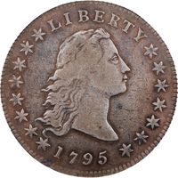 1795 Flowing Hair Dollar ($1) 2 Leaves Obverse Image