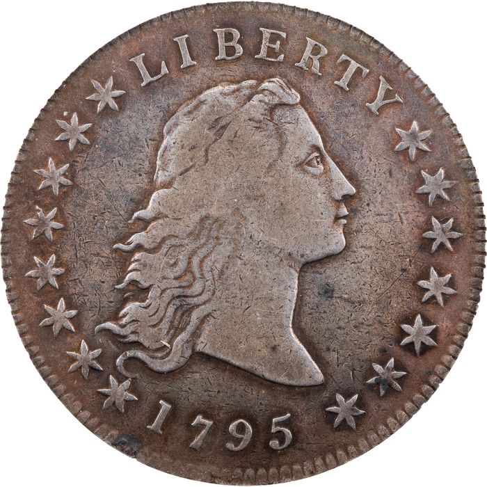 1795 Flowing Hair Dollar ($1) 2 Leaves Obverse Image