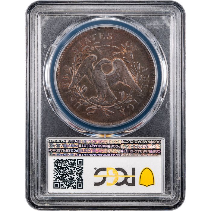 1795 Flowing Hair Dollar ($1) 2 Leaves Reverse Slab Image