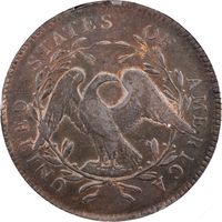 1795 Flowing Hair Dollar ($1) 2 Leaves Reverse Image