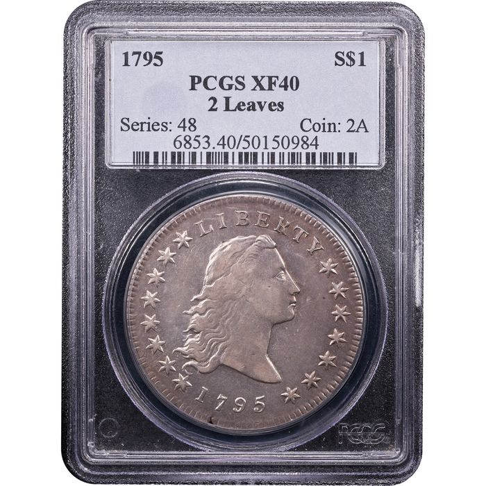 1795 Flowing Hair Dollar ($1) 2 Leaves Obverse Slab Image