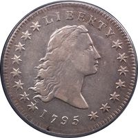 1795 Flowing Hair Dollar ($1) 2 Leaves Obverse Image