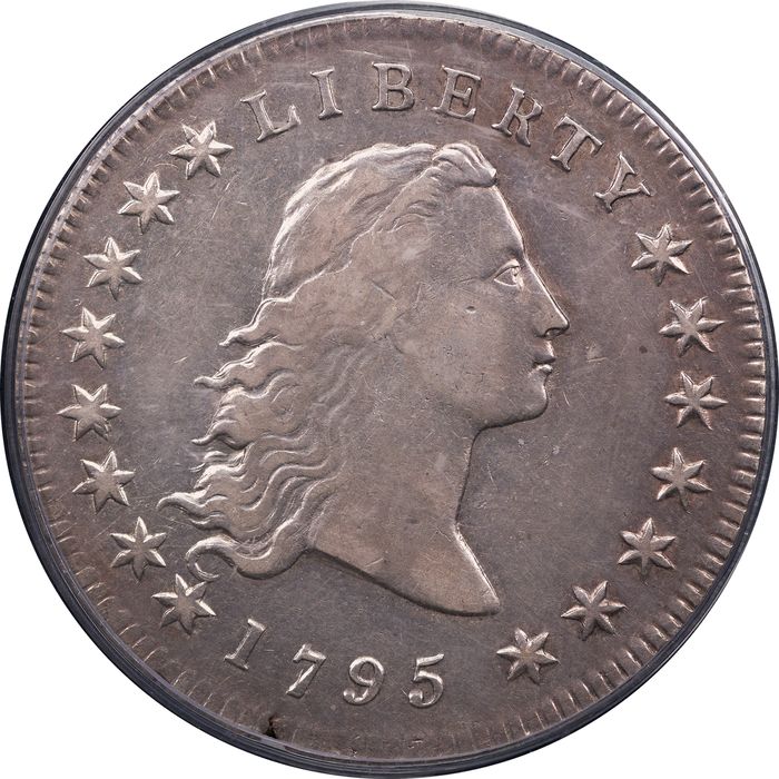1795 Flowing Hair Dollar ($1) 2 Leaves Obverse Image