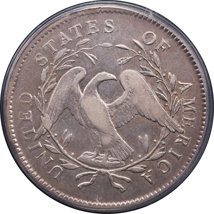 1795 Flowing Hair Dollar ($1) 2 Leaves Reverse Image