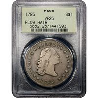 1795 Flowing Hair Dollar ($1) 3 Leaves OGH Obverse Slab Image
