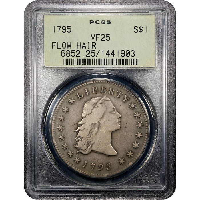 1795 Flowing Hair Dollar ($1) 3 Leaves OGH Obverse Slab Image