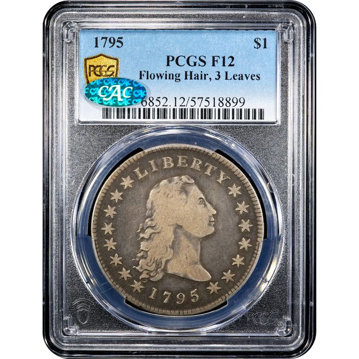 1795 Flowing Hair Dollar ($1) 3 Leaves Obverse Image