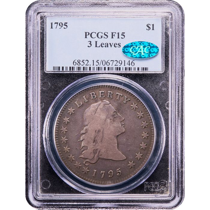 1795 Flowing Hair Dollar ($1) 3 Leaves Obverse Image