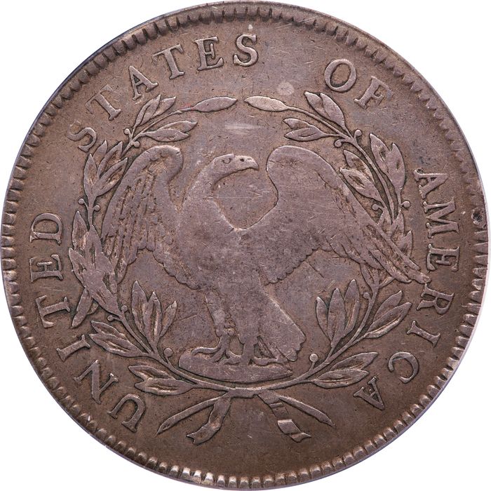 1795 Flowing Hair Dollar ($1) 3 Leaves Photo 4