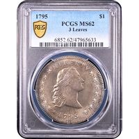 1795 Flowing Hair Dollar ($1) 3 Leaves Obverse Slab Image