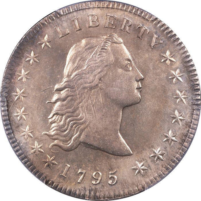 1795 Flowing Hair Dollar ($1) 3 Leaves Obverse Image