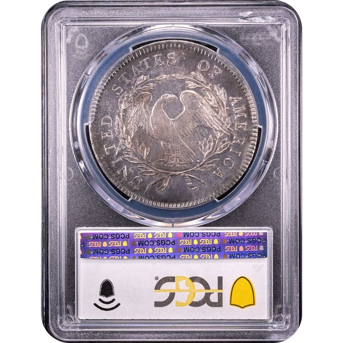 1795 Flowing Hair Dollar ($1) 3 Leaves Reverse Slab Image