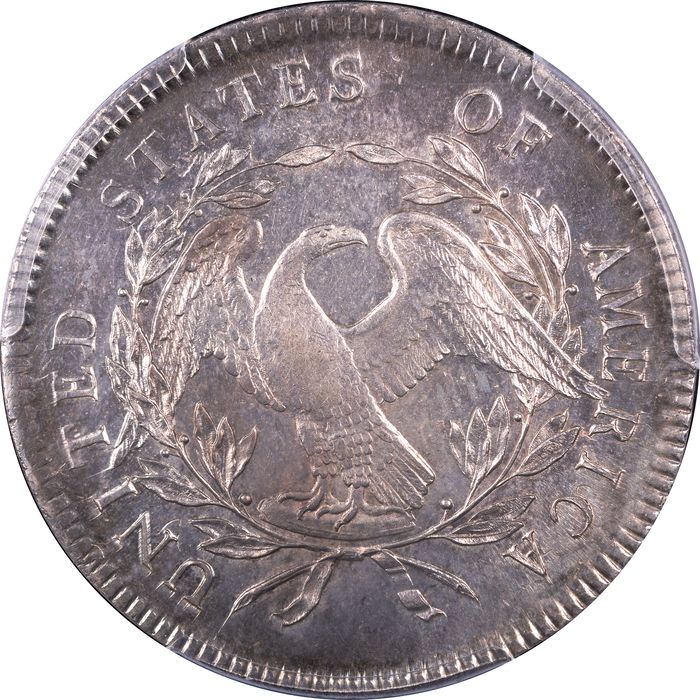 1795 Flowing Hair Dollar ($1) 3 Leaves Reverse Image