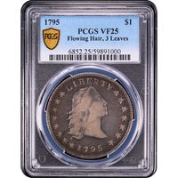 1795 Flowing Hair Dollar ($1) 3 Leaves Obverse Slab Image