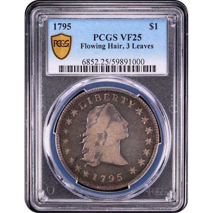 1795 Flowing Hair Dollar ($1) 3 Leaves Obverse Slab Image