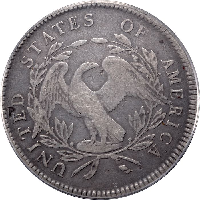 1795 Flowing Hair Dollar ($1) 3 Leaves Photo 4