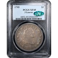 1795 Flowing Hair Dollar ($1) 3 Leaves Obverse Slab Image