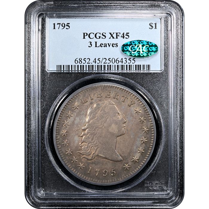 1795 Flowing Hair Dollar ($1) 3 Leaves Obverse Slab Image
