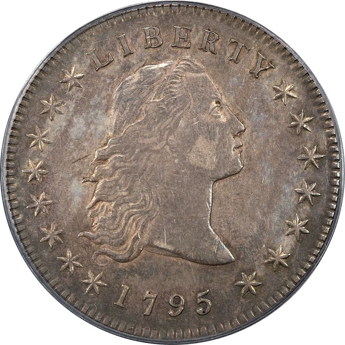 1795 Flowing Hair Dollar ($1) 3 Leaves Obverse Image