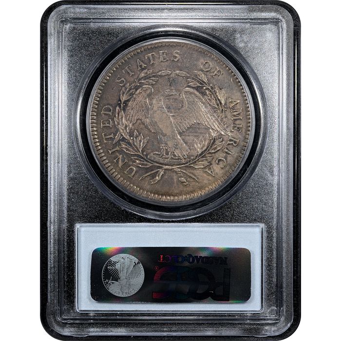 1795 Flowing Hair Dollar ($1) 3 Leaves Reverse Slab Image