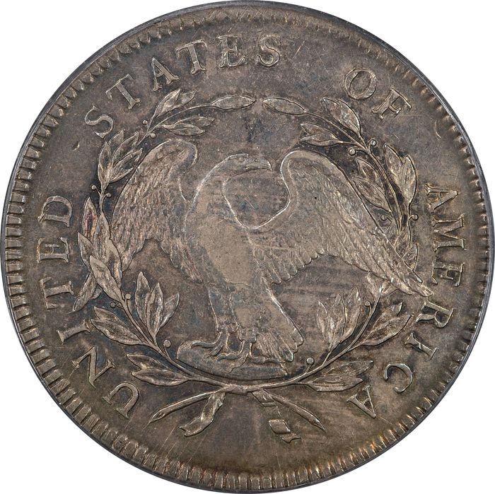 1795 Flowing Hair Dollar ($1) 3 Leaves Reverse Image