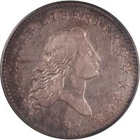 1795 Flowing Hair Half Dollar (50c) 2 Leaves Obverse Image