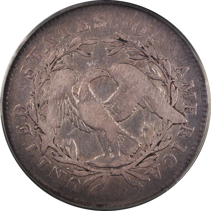 1795 Flowing Hair Half Dollar (50c) 2 Leaves Reverse Image