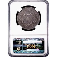 1795 Flowing Hair Half Dollar (50c) Reverse Slab Image