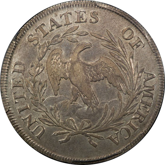 1797 Draped Bust Dollar ($1) 9x7 Stars Large Letters Reverse Image