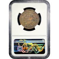 1797 Draped Bust Large Cent (1c) Reverse of 1797, Stems Reverse Slab Image