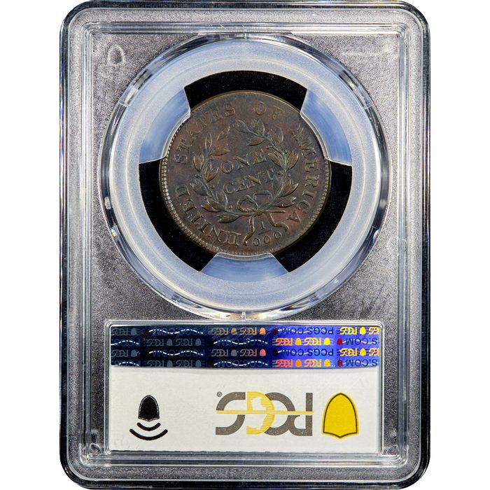 1801 Draped Bust Large Cent (1c) 3 Errors Reverse Reverse Slab Image