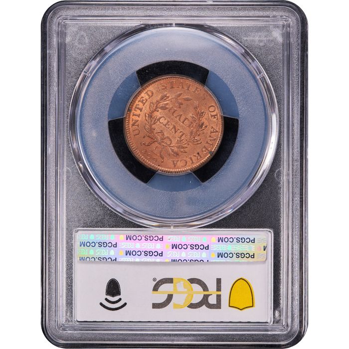 1806 Draped Bust Half Cent (1/2c) Large 6, Stems Reverse Image