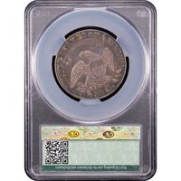 1828 Capped Bust Half Dollar Reverse Slab Image