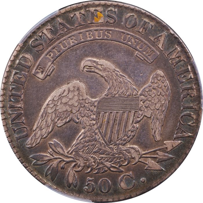 1828 Capped Bust Half Dollar Reverse Image