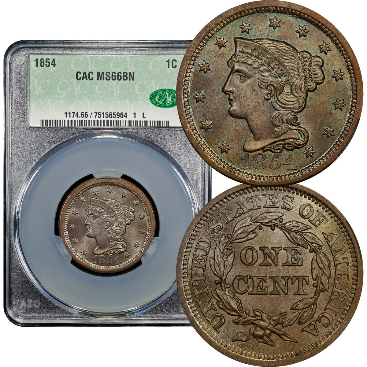 1854 Braided Hair Large Cent 1c CACG MS66 BN CAC