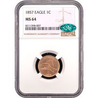 1857 Flying Eagle Cent (1c) Obverse Slab Image