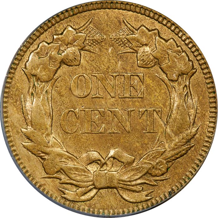 1857 Flying Eagle Cent (1c) Photo 4