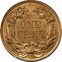 1857 Flying Eagle Cent (1c) Reverse Image