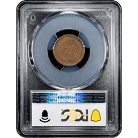 1869 Indian Cent (1c) Reverse Slab Image