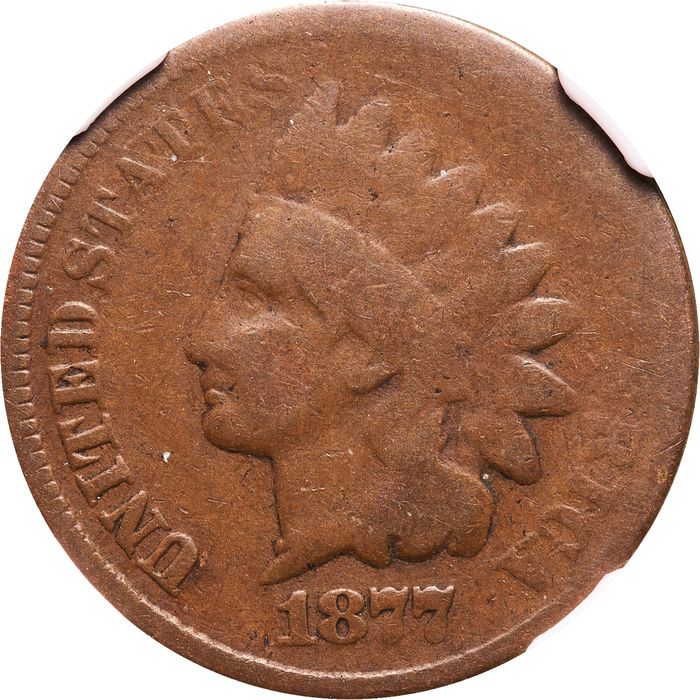 1877 Indian Cent (1c) Obverse Image