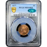 1877 Indian Cent (1c) Obverse Image